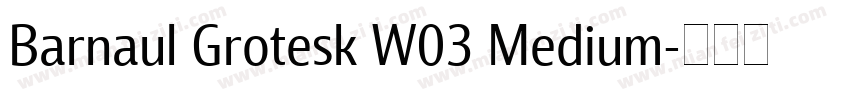 Barnaul Grotesk W03 Medium字体转换